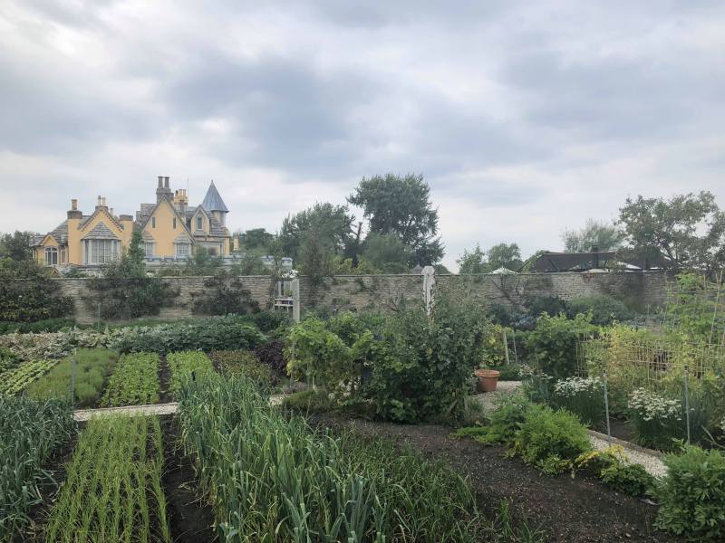 41764958_260916177900479_6785671792192126976_n