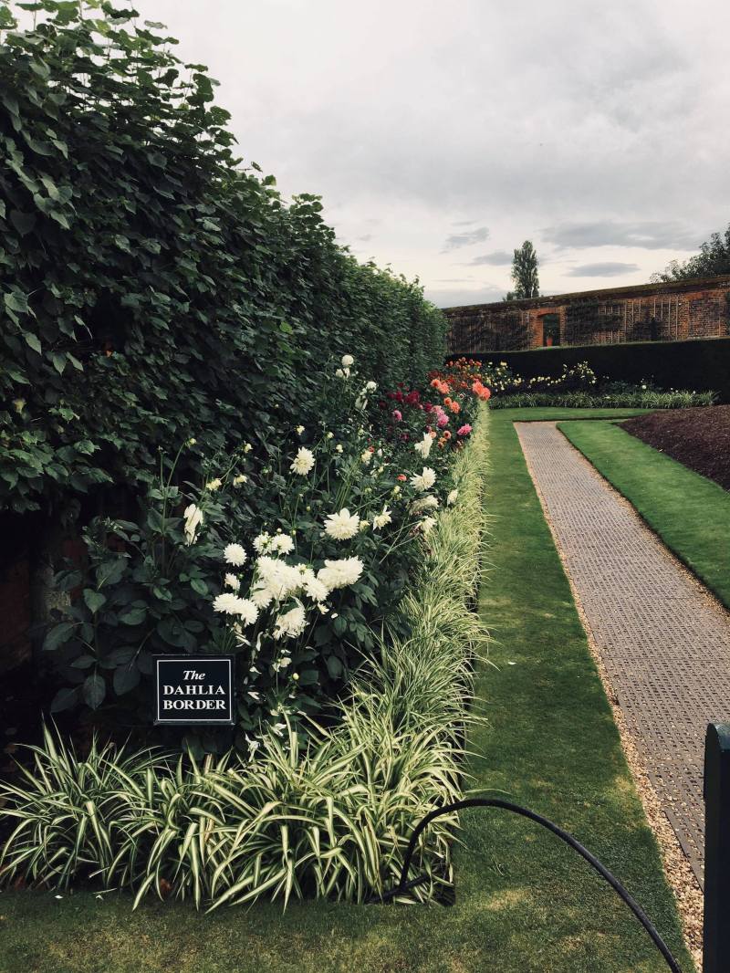 41769832_329640541138708_1808710899867844608_n