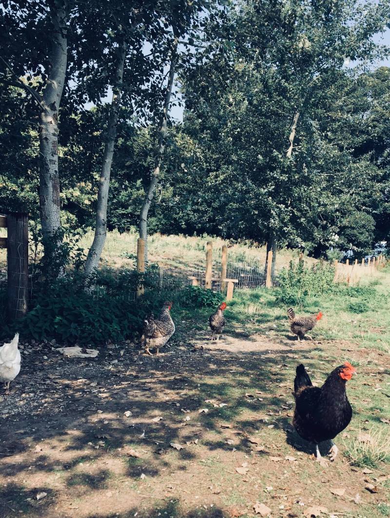 41785524_1380871105349867_1935978228321615872_n