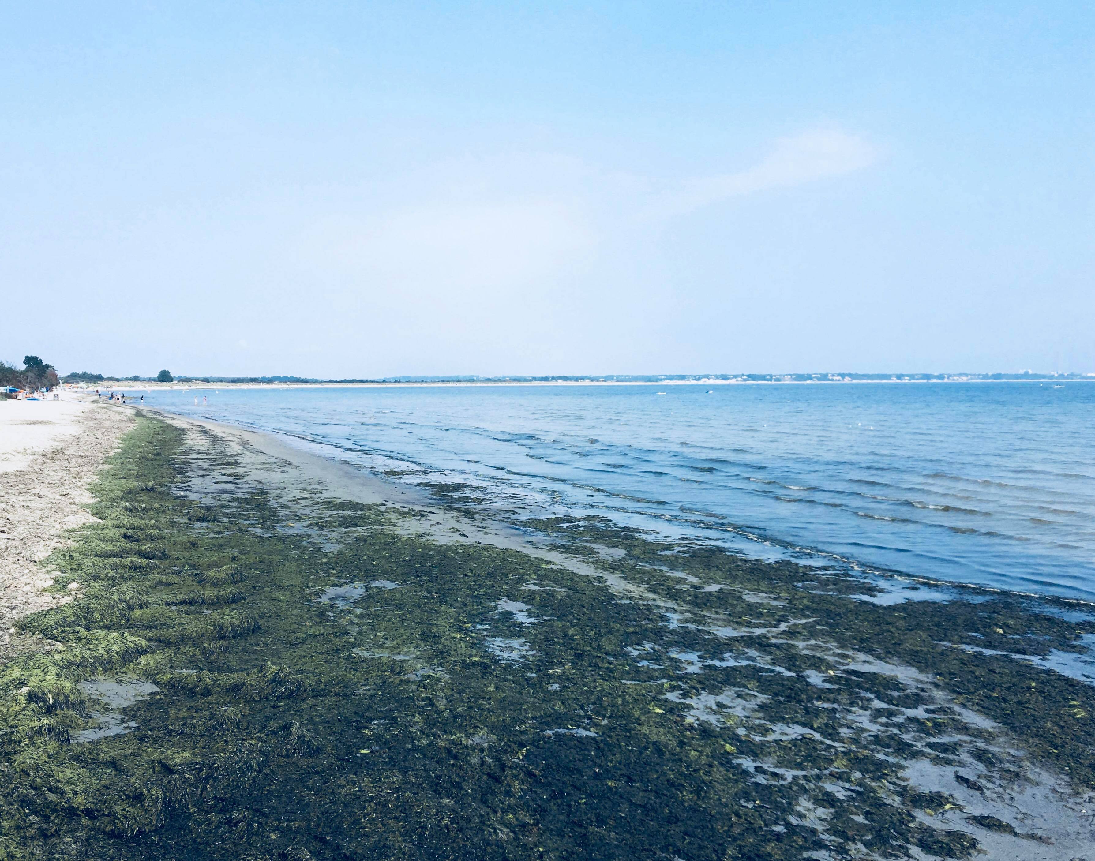 41801961_315924879172784_7398915443282411520_n