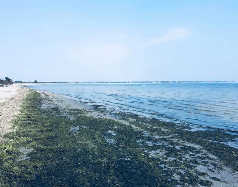 41801961_315924879172784_7398915443282411520_n