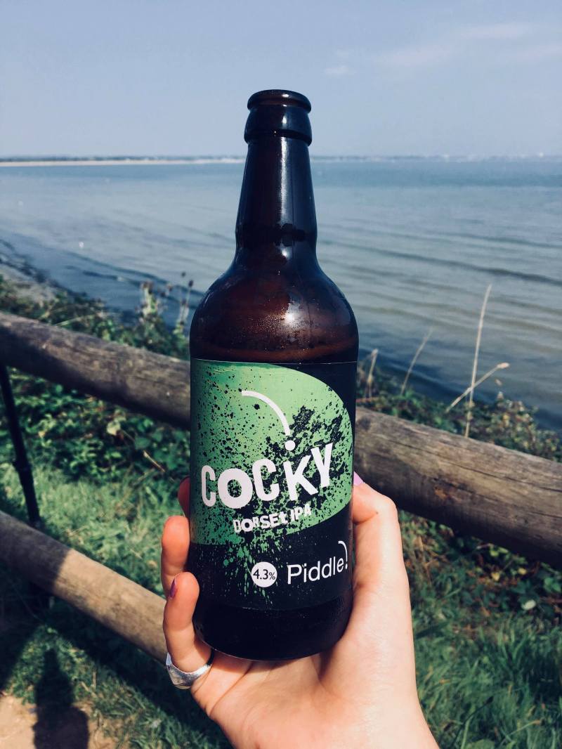 41850520_263923930907010_8898231691013783552_n