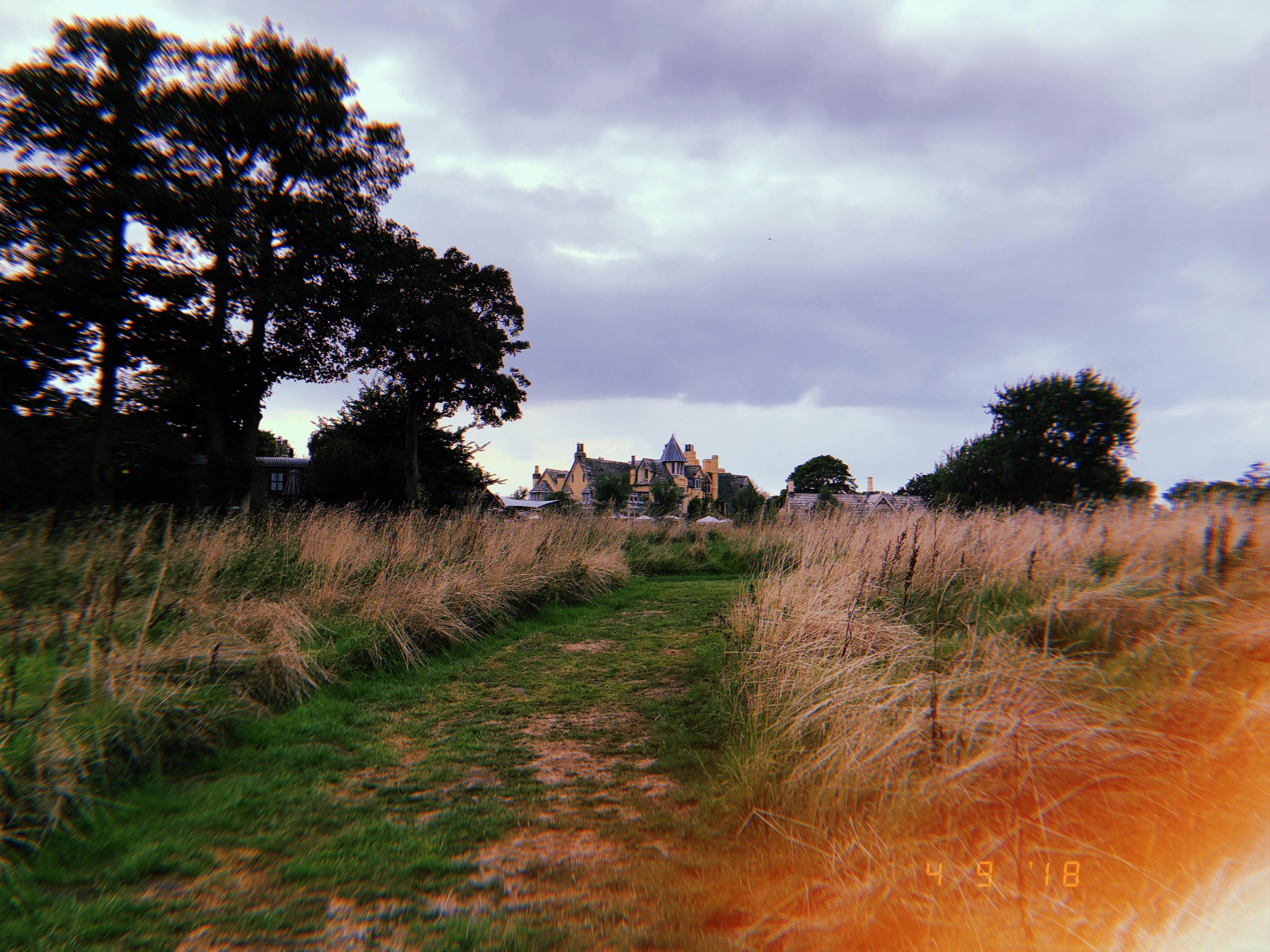 41861136_1493653550734287_1278791847702953984_n