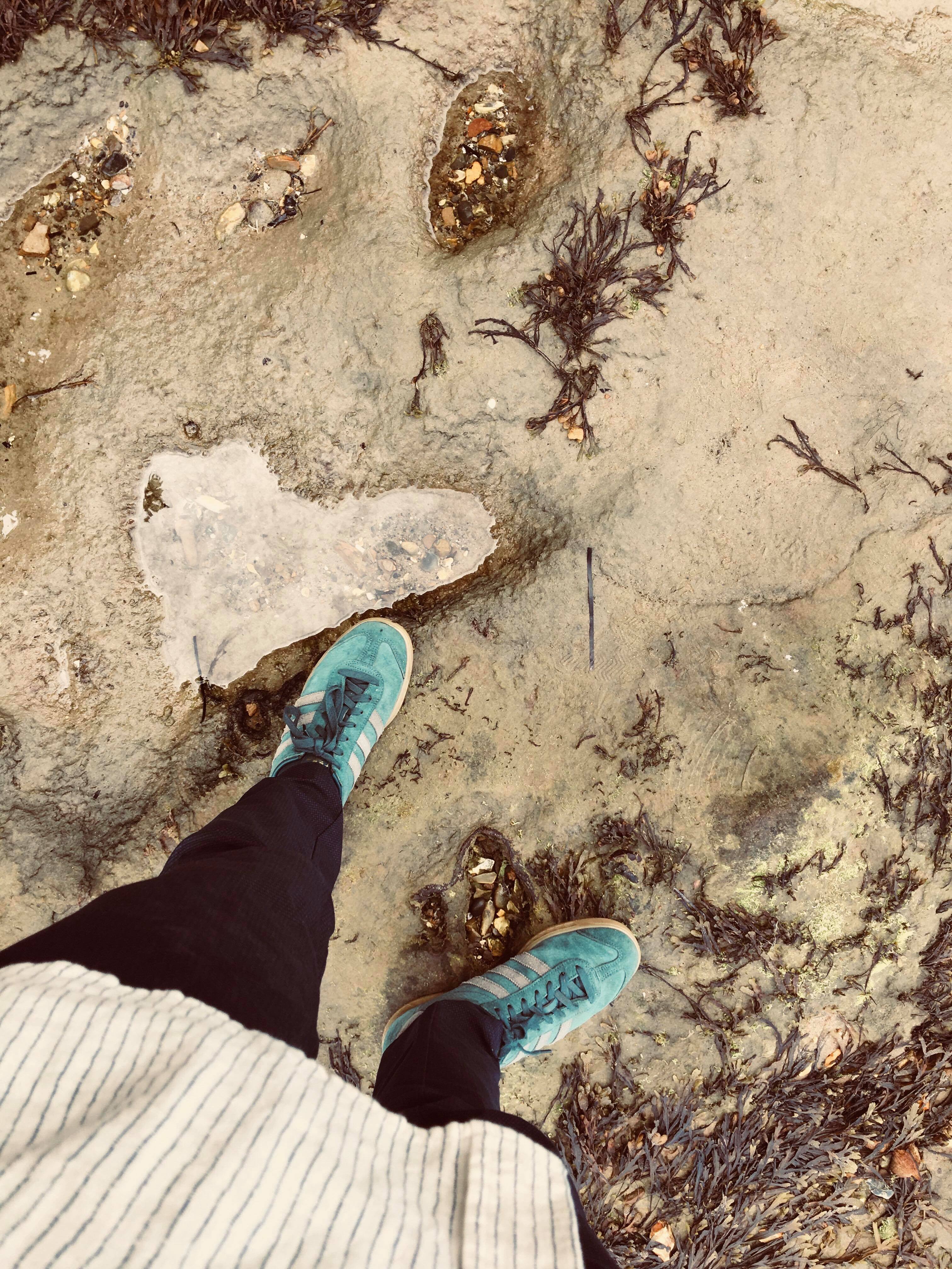 41862358_268671790421269_3781033394851282944_n