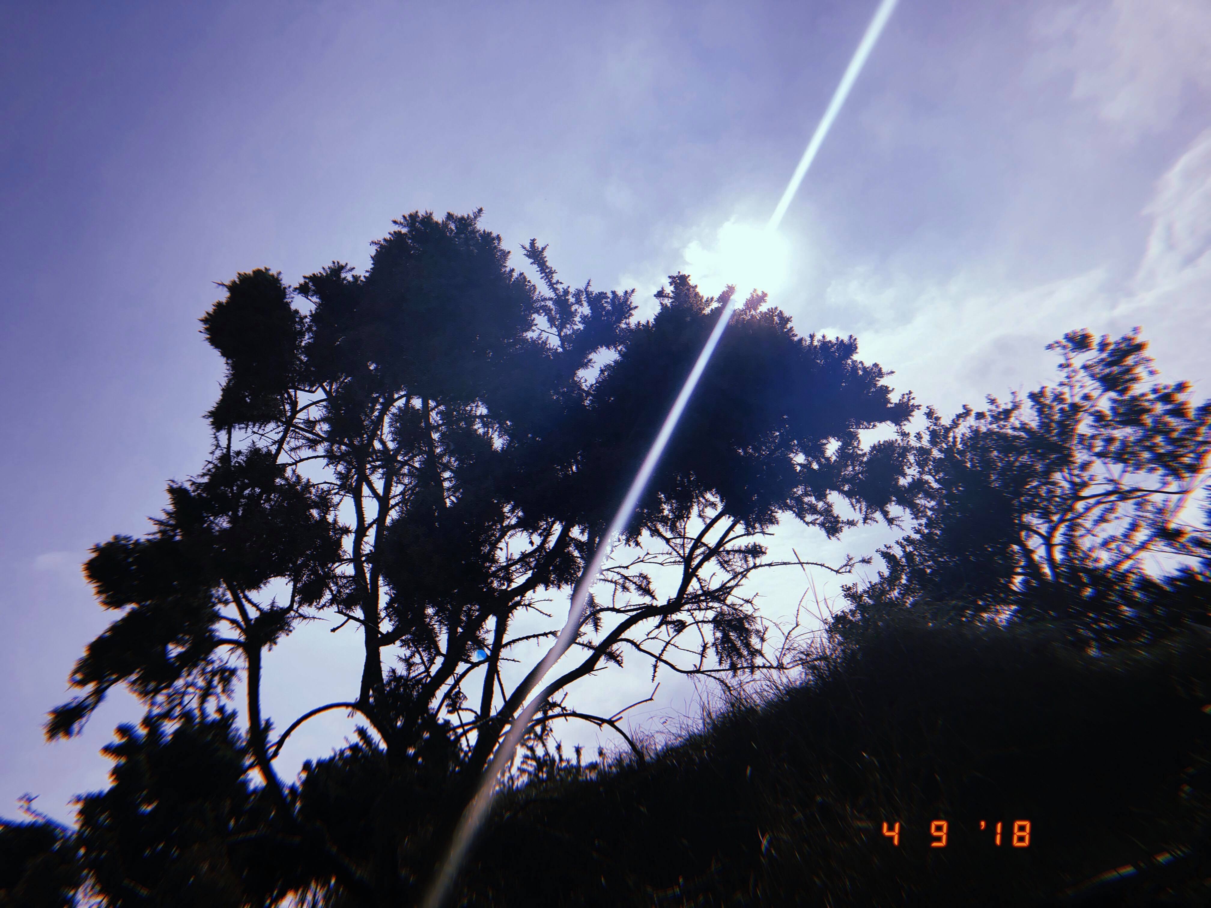 41865973_525334741264770_5498336249515081728_n