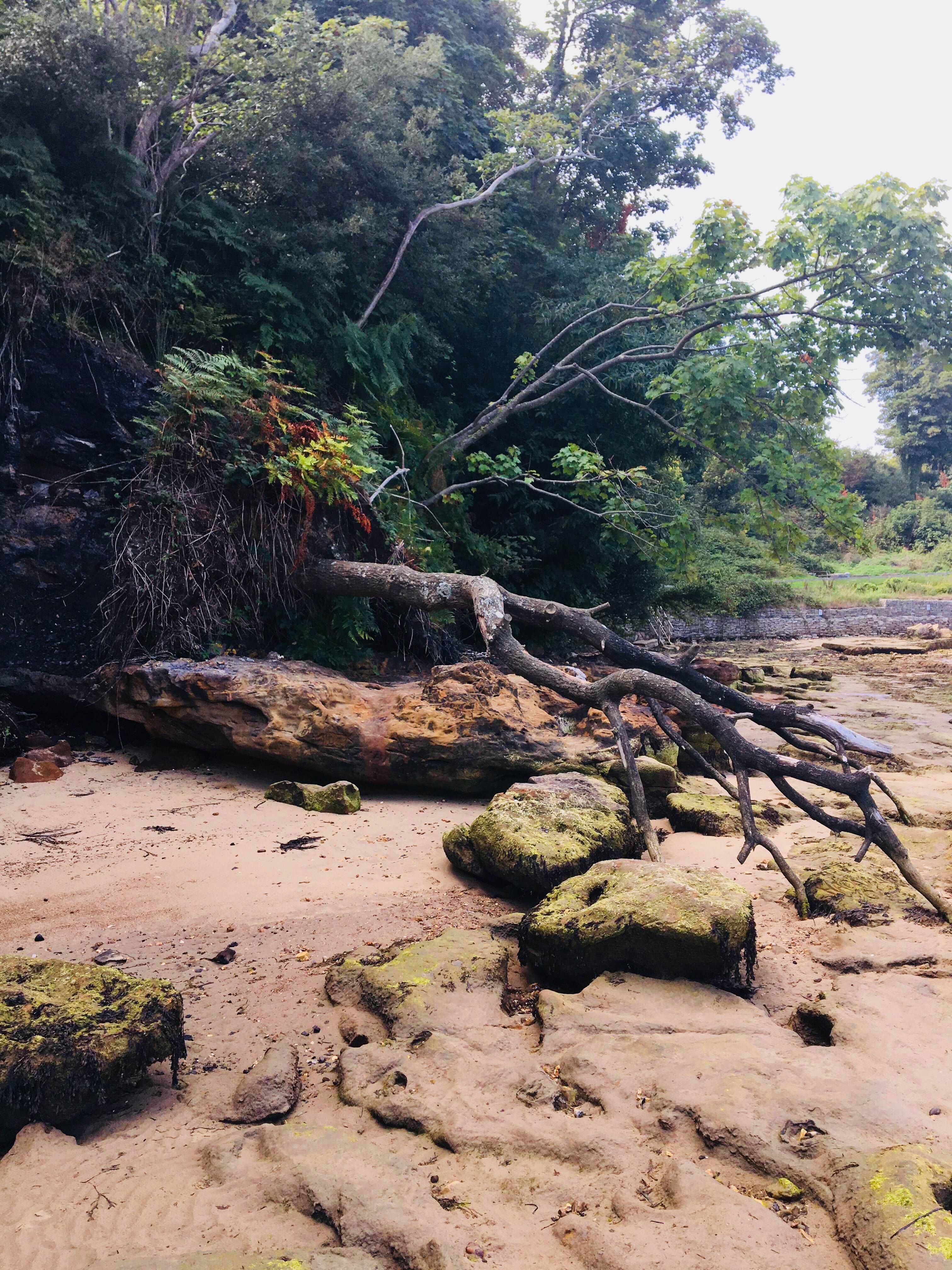 41869766_2130777053829218_5607873046732865536_n