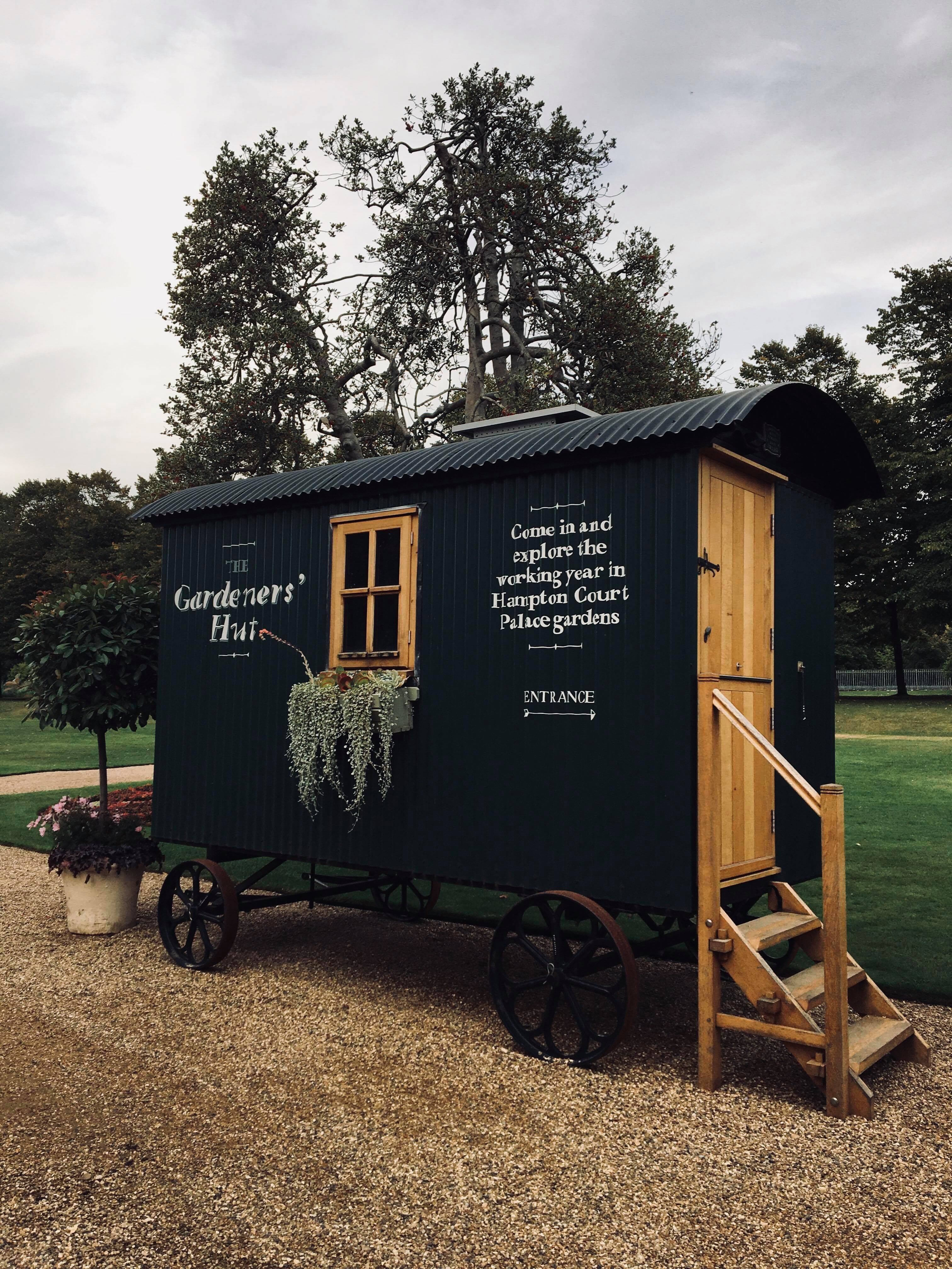 41880536_1357939747673087_4053364356123983872_n