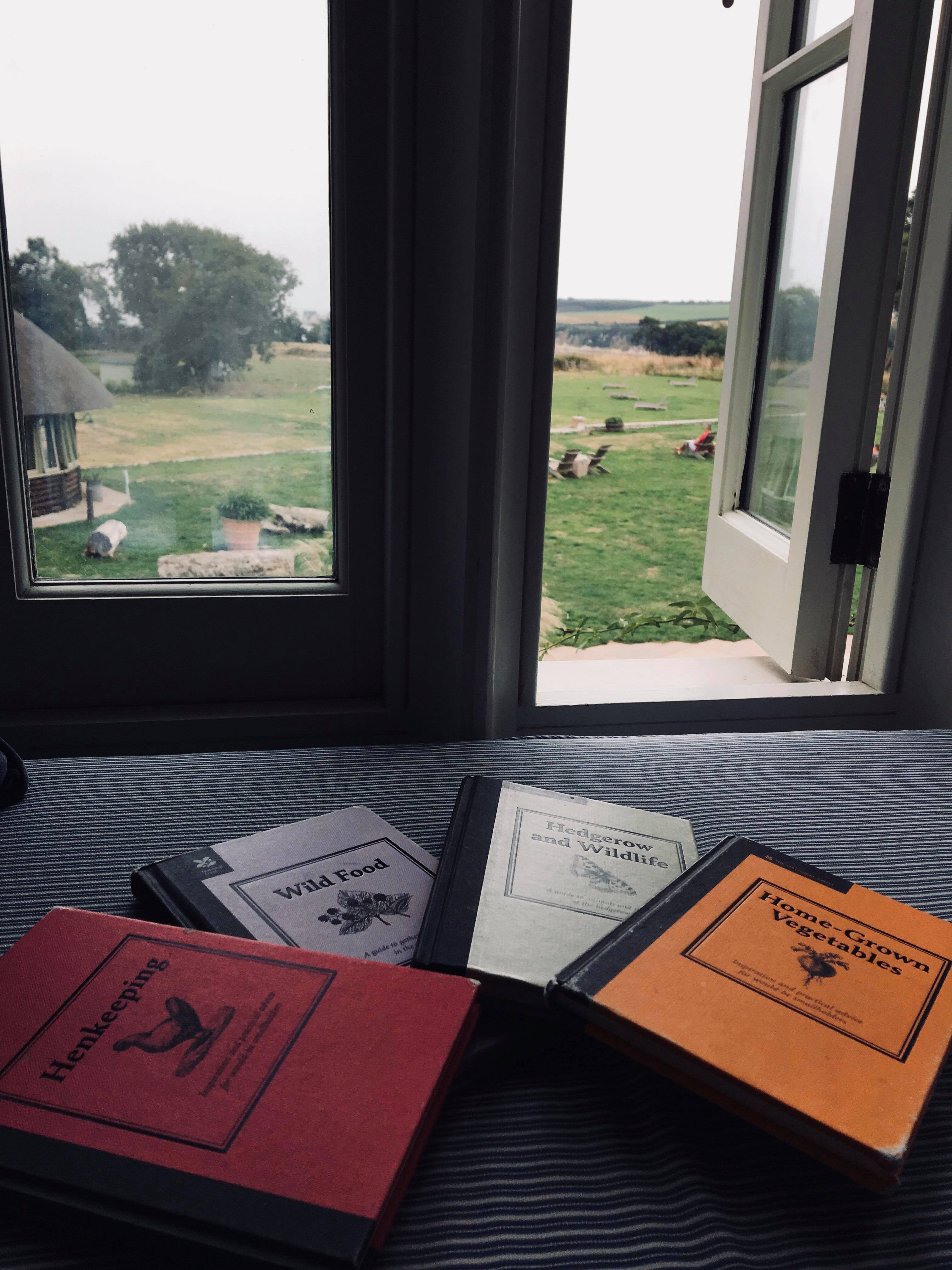 41897990_595048864223466_1079683486052253696_n