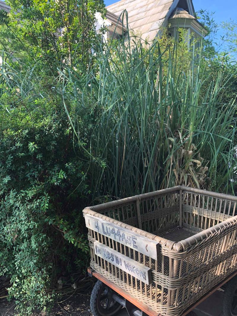 41922871_2083737718609367_6145537819013021696_n