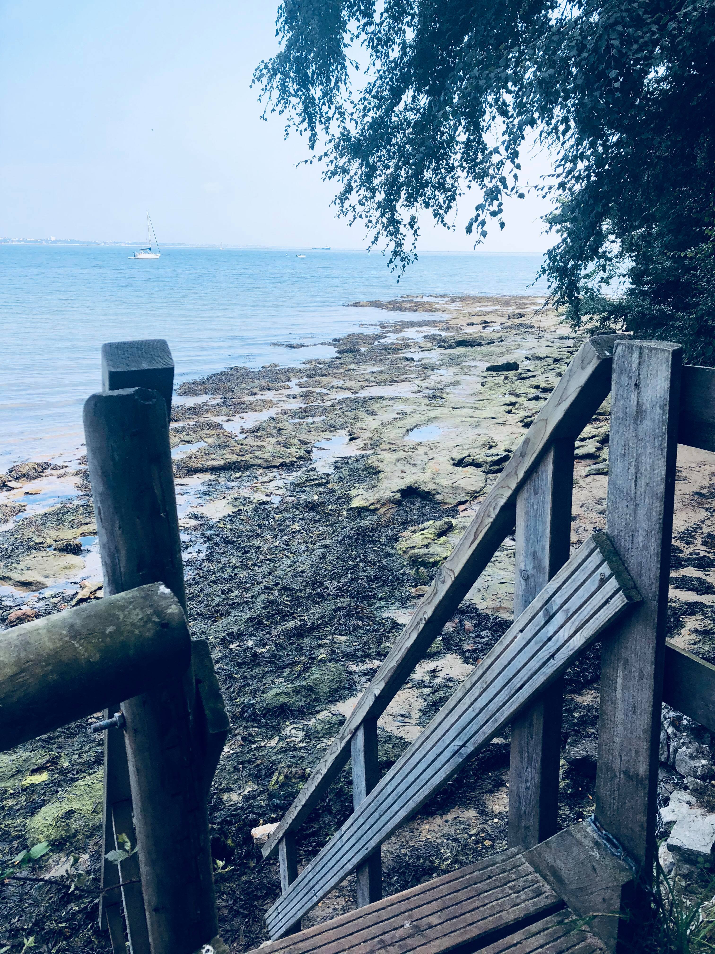 41933141_455327158309768_4395800951877795840_n