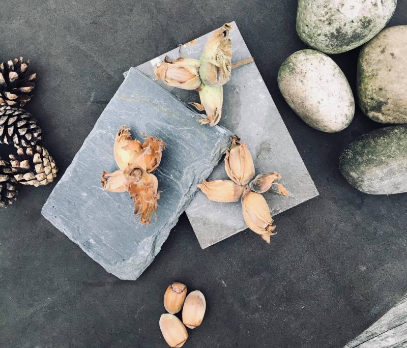 43318067_340262033213975_8712062579767246848_n