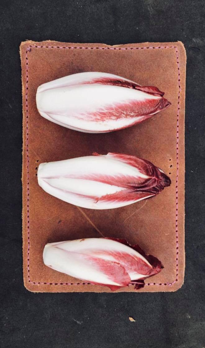 43326531_335238507247471_406747279970533376_n