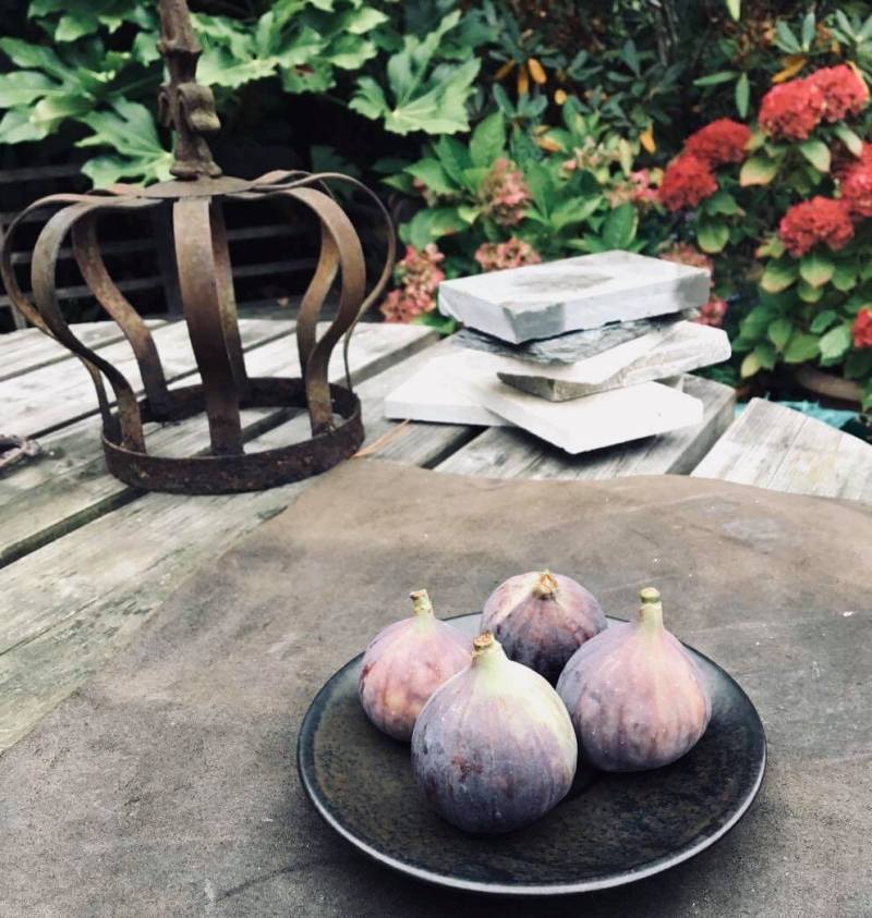 43415080_241371059891319_5492872187826143232_n