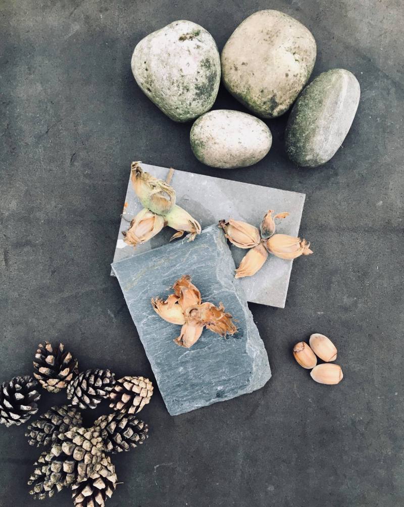 43415348_1111117129063384_6977171434594369536_n