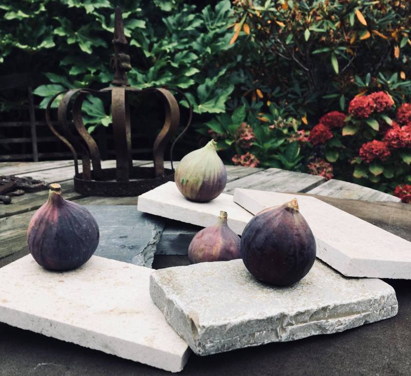 43422609_523332004806009_2157591213581008896_n