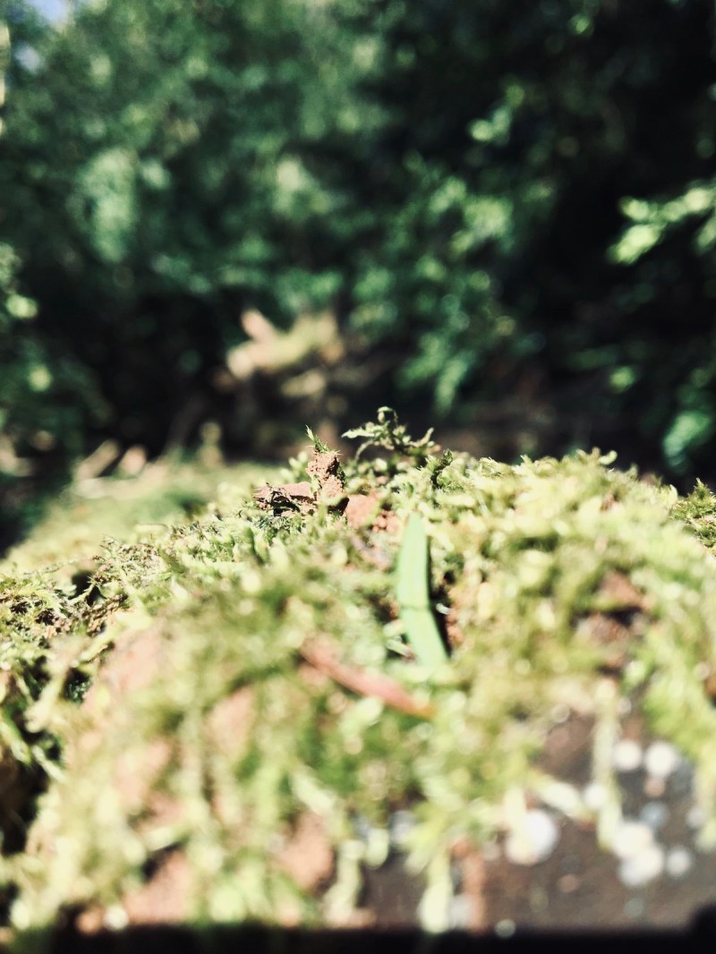 3364aa93-ffbe-47e3-9674-93011f854051