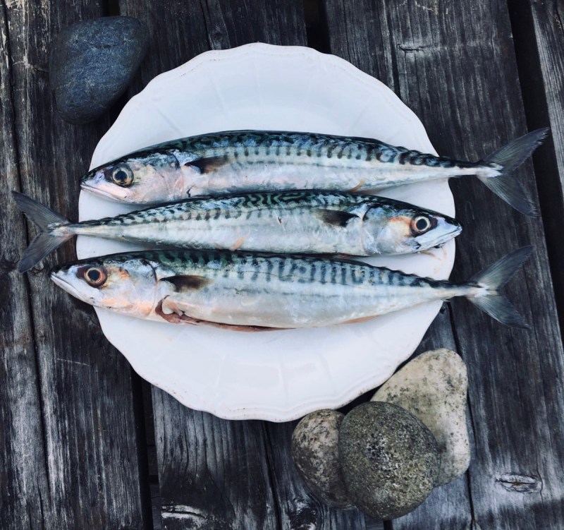 3468195d-2cb2-49c7-9d9c-1de945fc1e8e