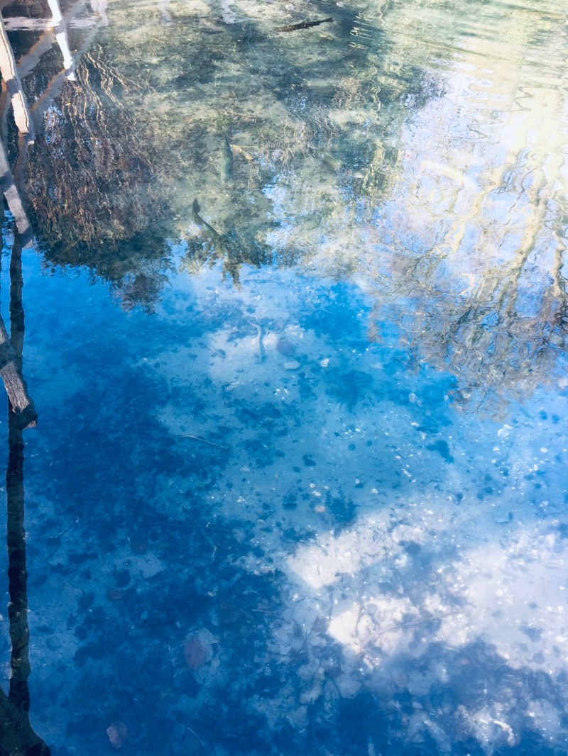 45573755-2cae-4e3b-aa21-86bc9f8ff806