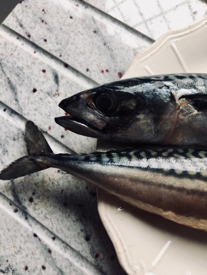 54e64fca-9eb6-4b3e-9fda-2cd93e5ccd7e