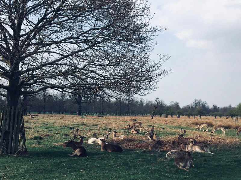 408a65dd-fc7a-47af-9f64-b19a6b189640