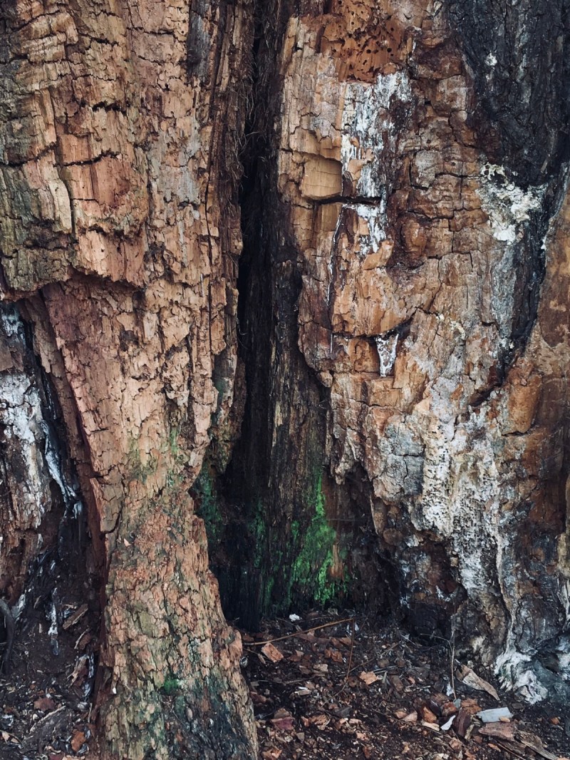 b0bee417-6297-4922-bf51-d2d8b5aca73b