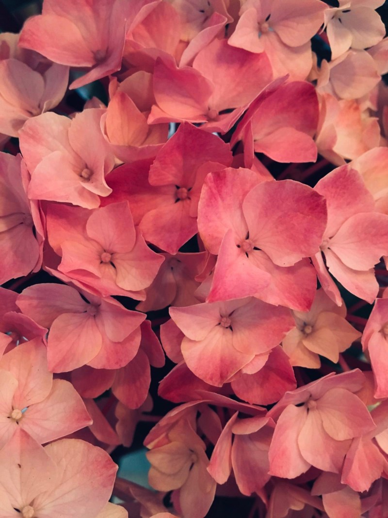 dbc4fd2a-c370-403a-a5e4-52a98d769278