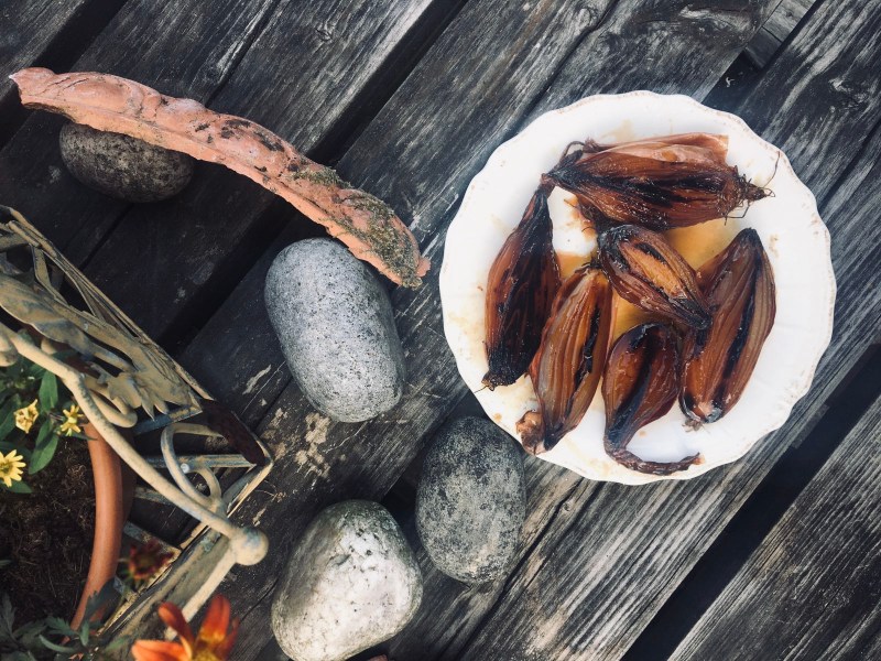 49dd0738-0052-4309-8d04-d183c4ee2e64