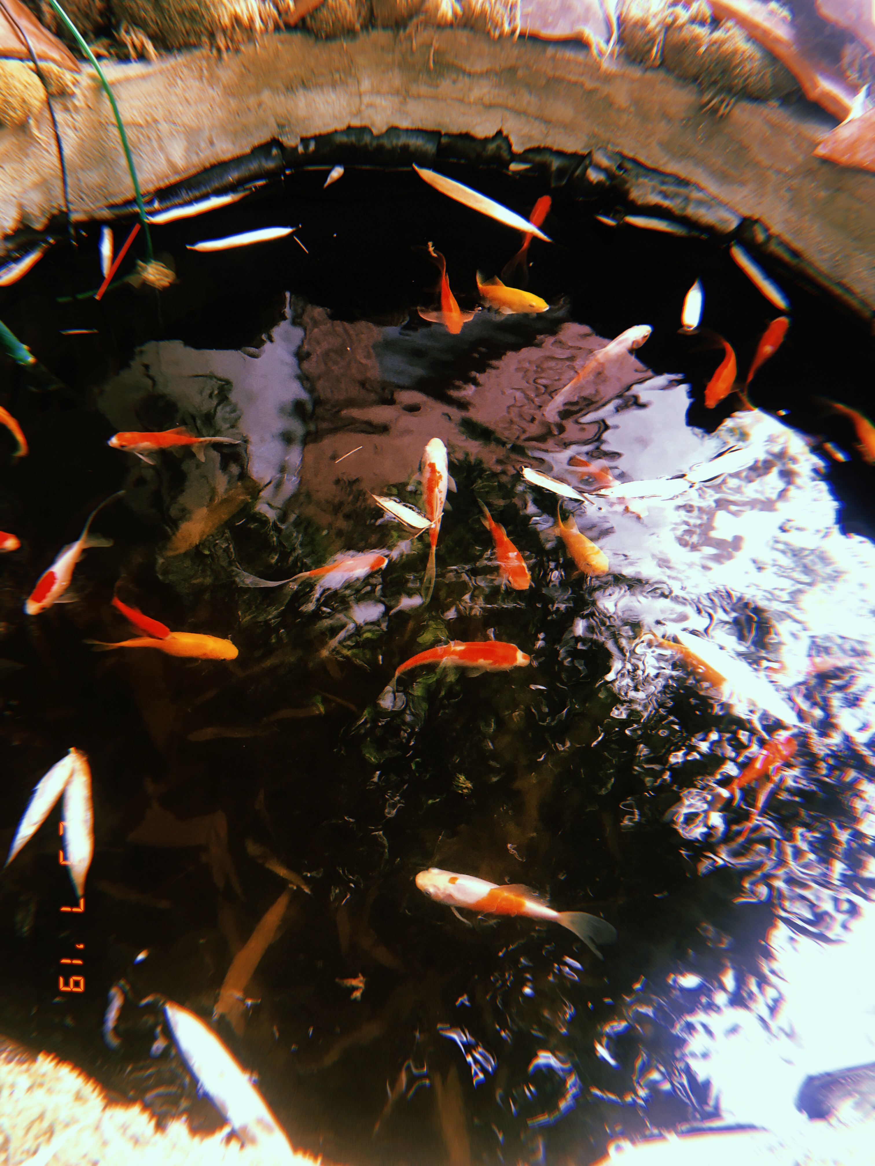 2019-07-29 16:09:20.469