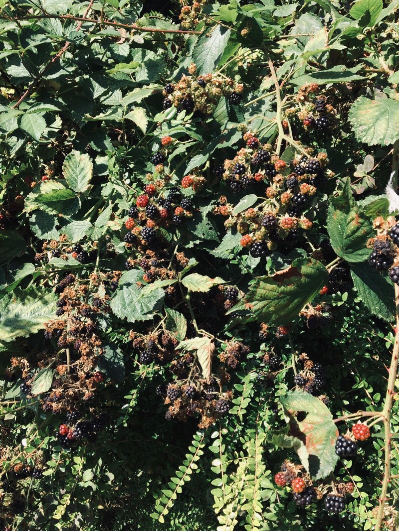 3a3a2edd-4b65-43d0-8915-ef6250681122