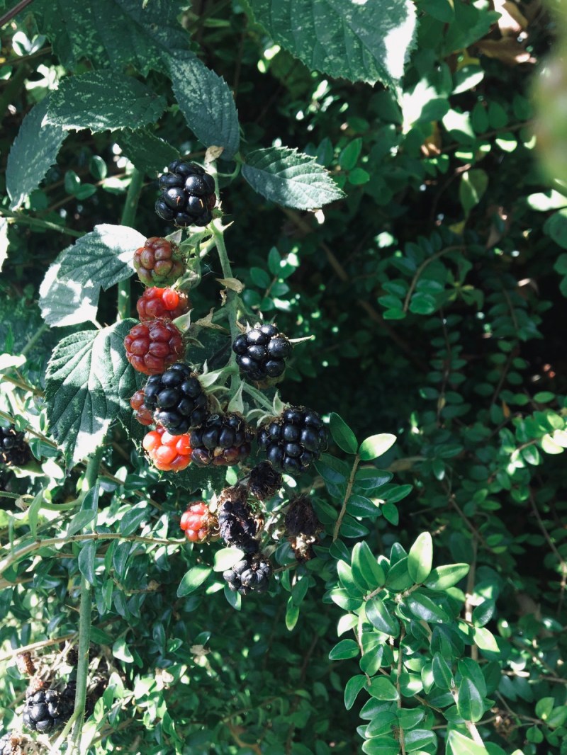 701b16ec-a21d-4b93-aa57-1ed951691da9