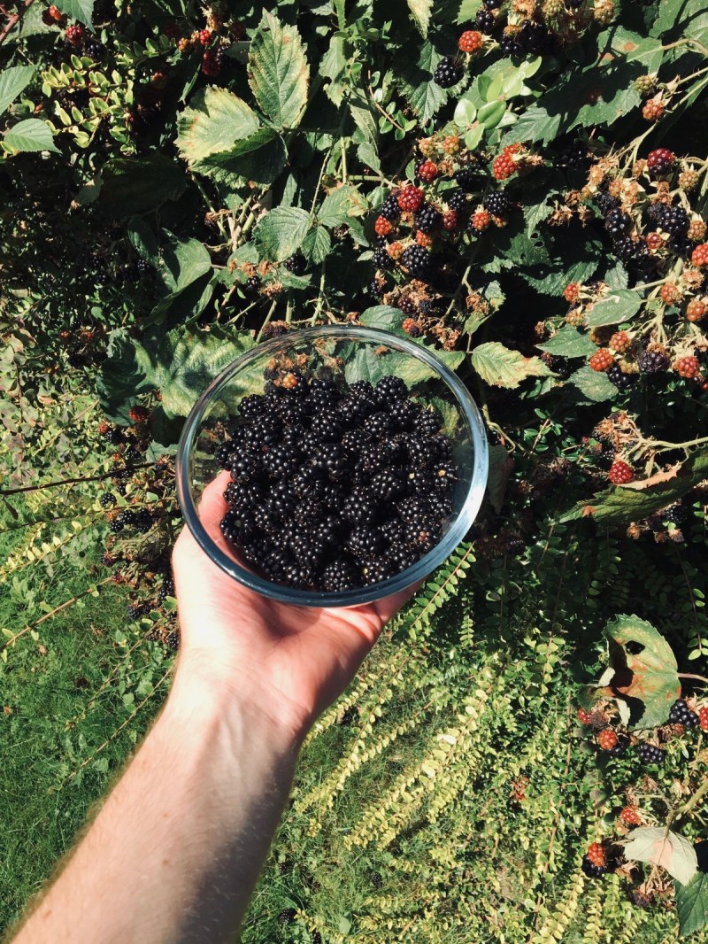 ae4db7ce-0d15-42a4-9925-3c4ddd21b306