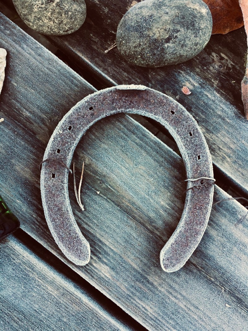 450b5dae-bdf7-42f7-8323-4953125d2bc8