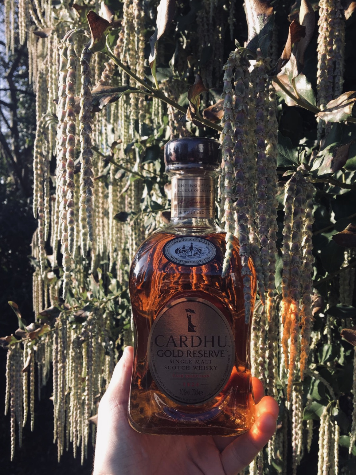 d1c15f5a-880d-4628-9dfe-35857808cb6b