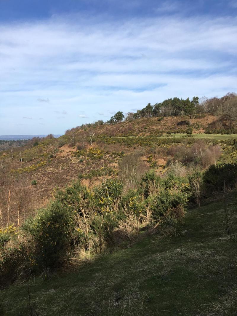 472dfcdb-daa4-4584-8100-62a22a88fd46