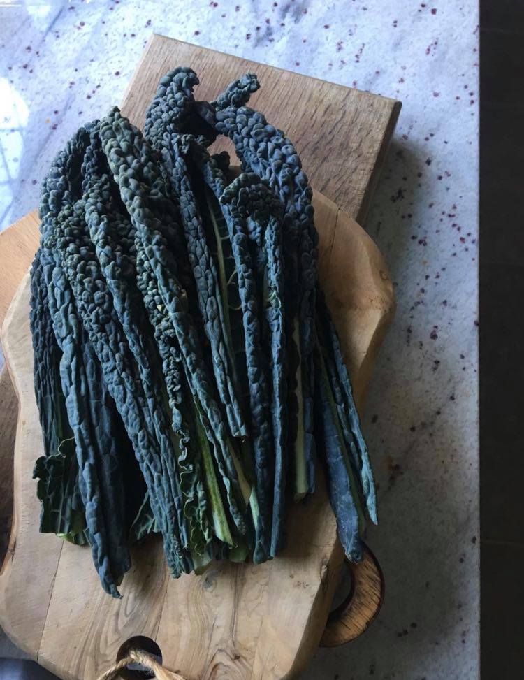 91889870_216114239483538_3029353666386591744_n