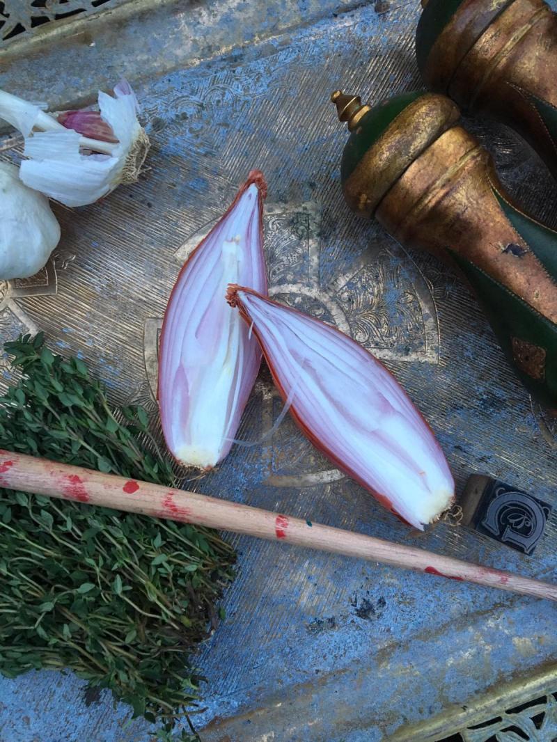 aa009321-f6c3-4c6b-86df-b48a572497cc