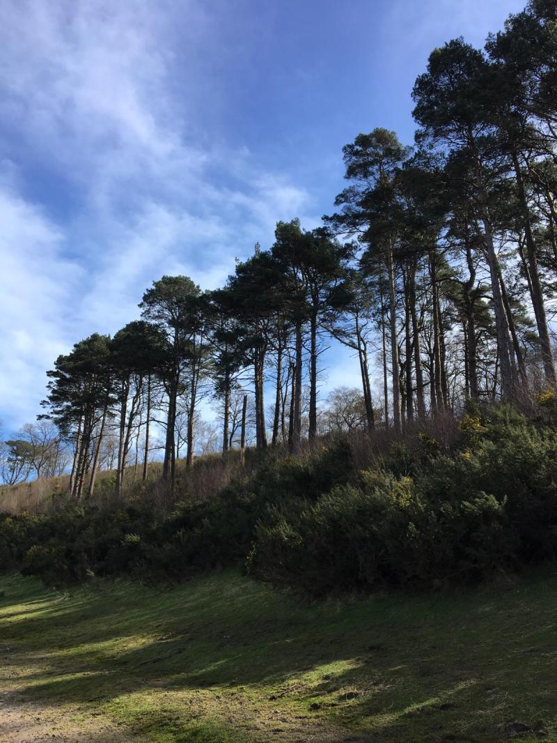 ab246ded-b788-4f58-9631-6af3f78da406