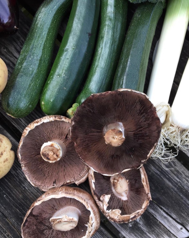 b34d133c-26b5-400d-b435-f760e561d438