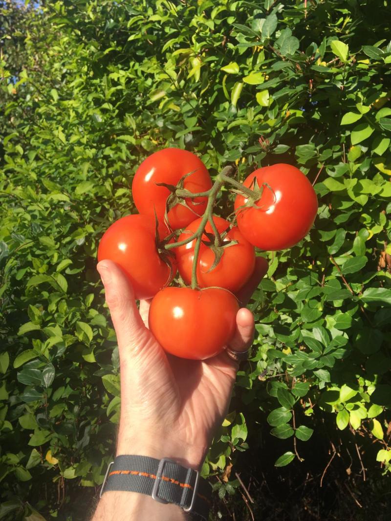 ed46b7a1-a582-4e7c-b822-da98370c4b36