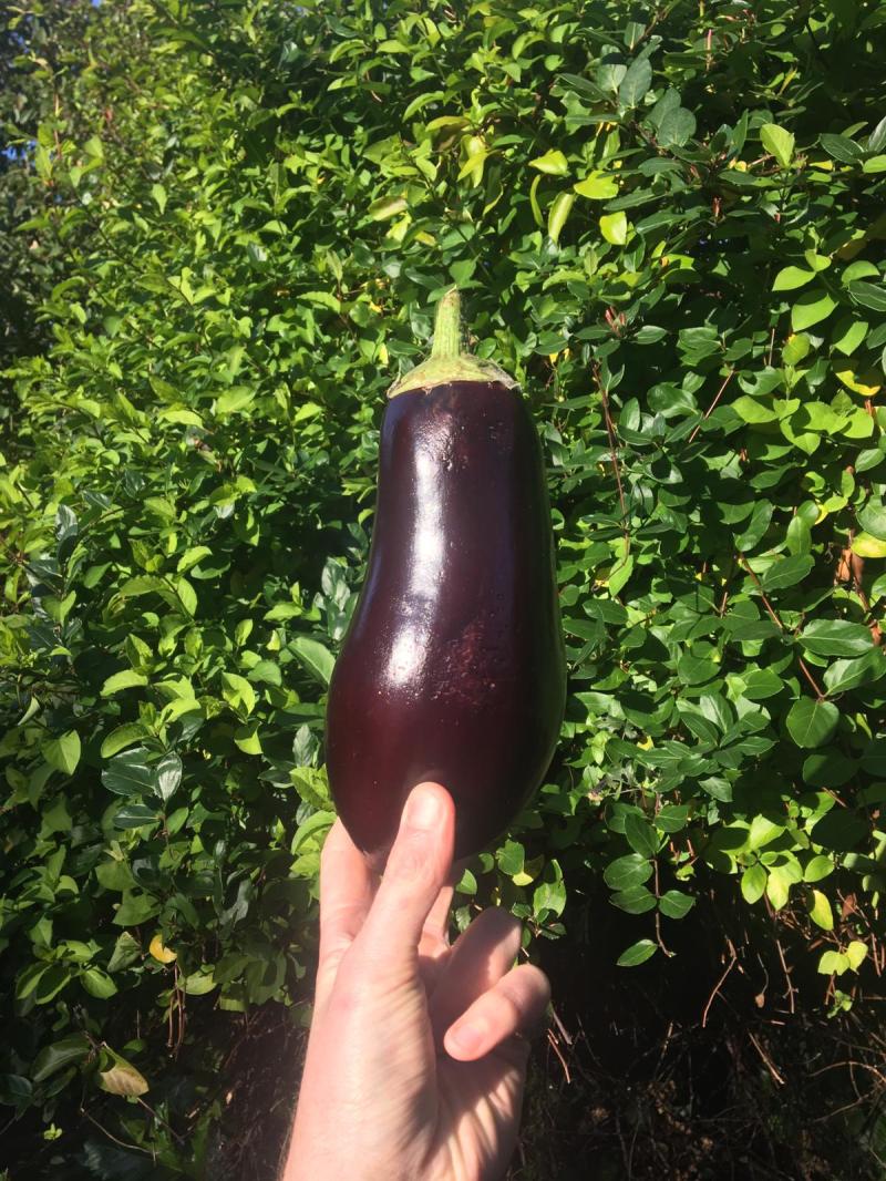 f1377330-cb45-4128-8a71-20301c89e915