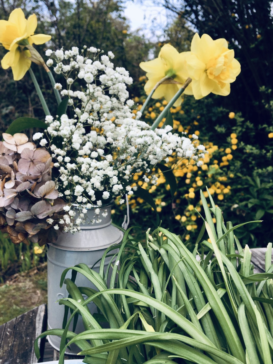 bfe1e6f8-862b-4dad-8e7e-43c347f28d64