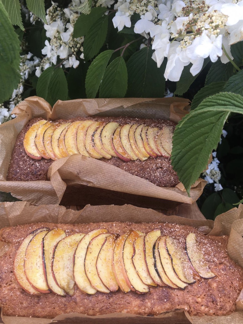 c531748f-7776-4fe7-ad7a-98ec926f85dd