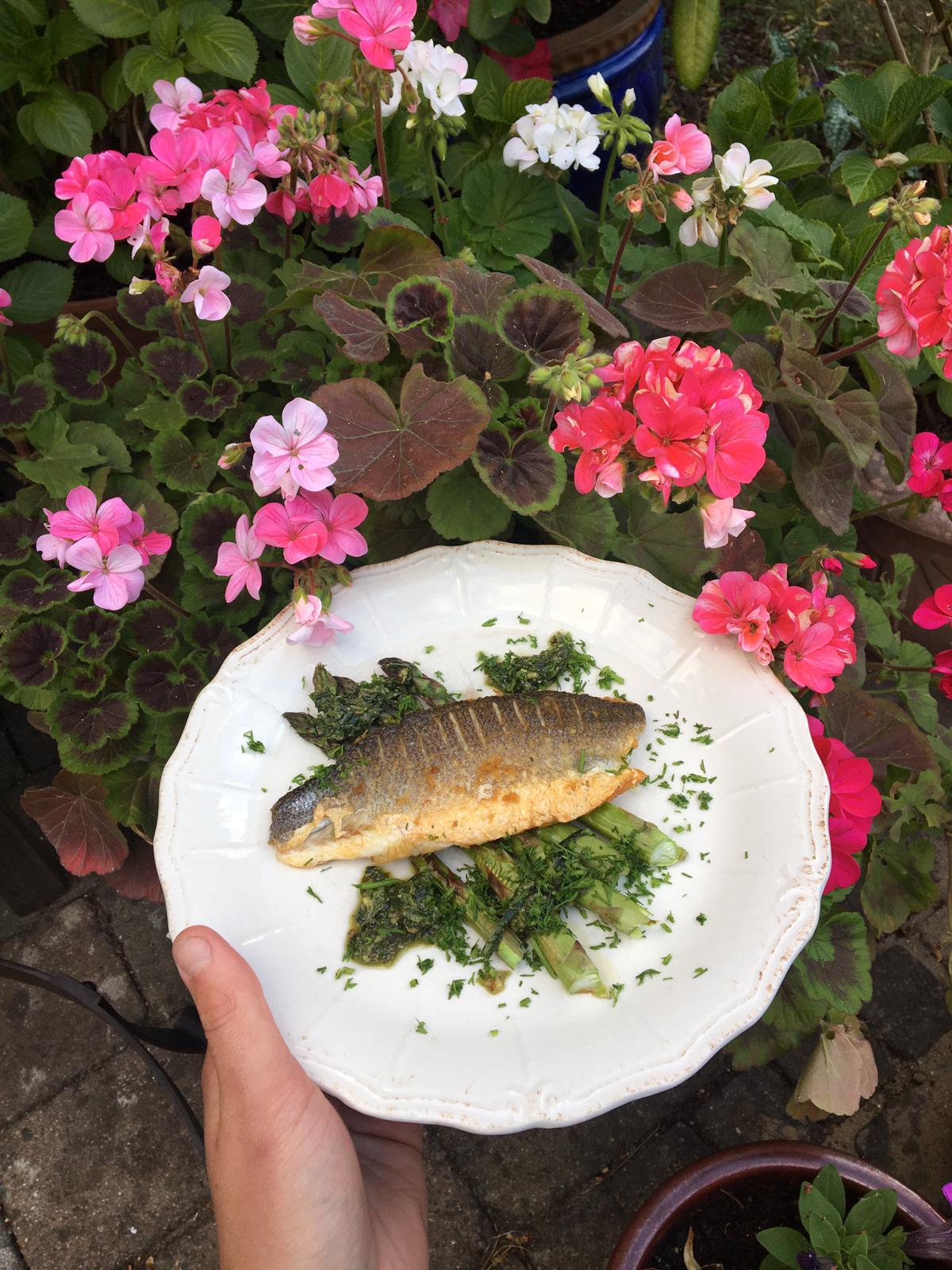 fce010c4-4bf2-4f30-8c25-5273b9eb0a01