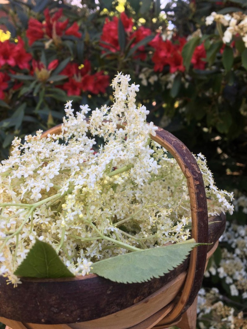 0213c824-c1c1-4c38-8b20-3ffe05a9c400