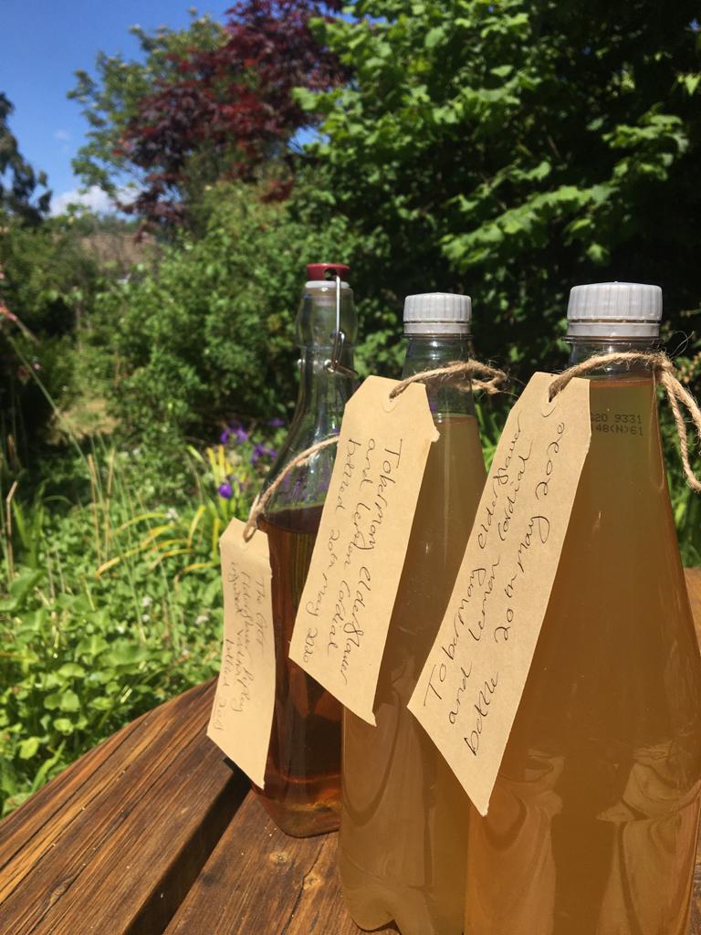 19488d2f-097e-482e-aca7-1820730c9025