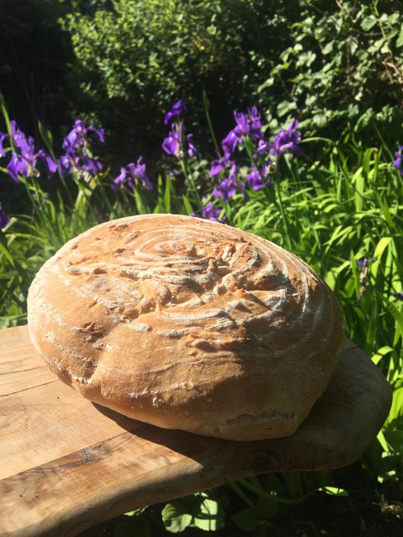 2af67f28-96b7-4a40-9843-af32dd476559