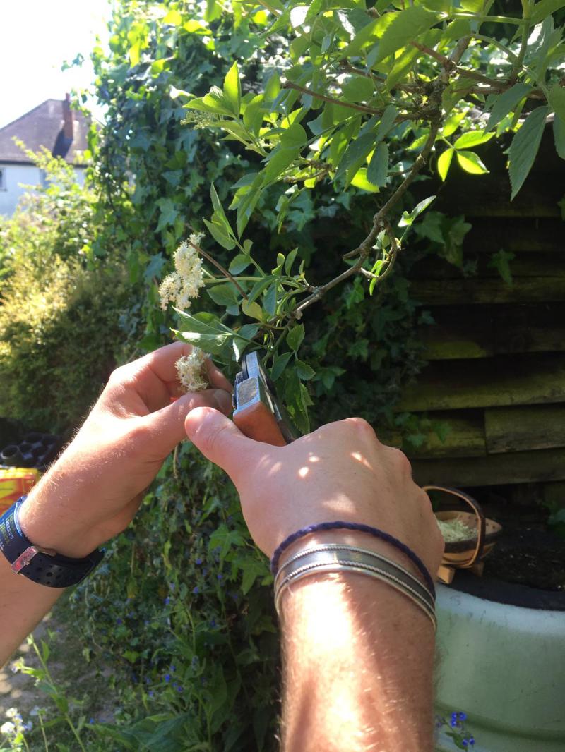 d22a8c3f-1b90-443f-b211-ea124e053a54