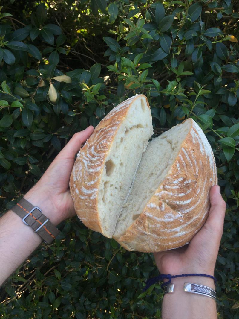 ea96423a-48e1-4147-a8ca-7f252dbd95dc