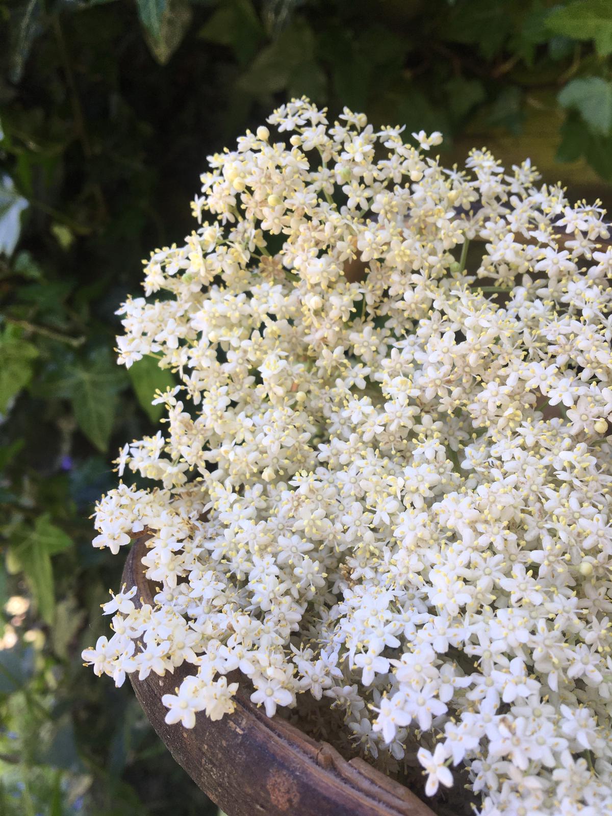 f38547e2-0130-46ab-ac8e-9e841c982261