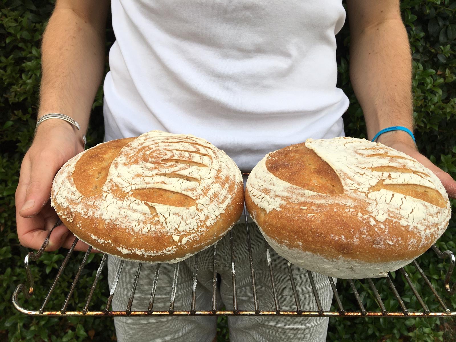 1fd920ff-babb-47aa-84dc-631b025eae08